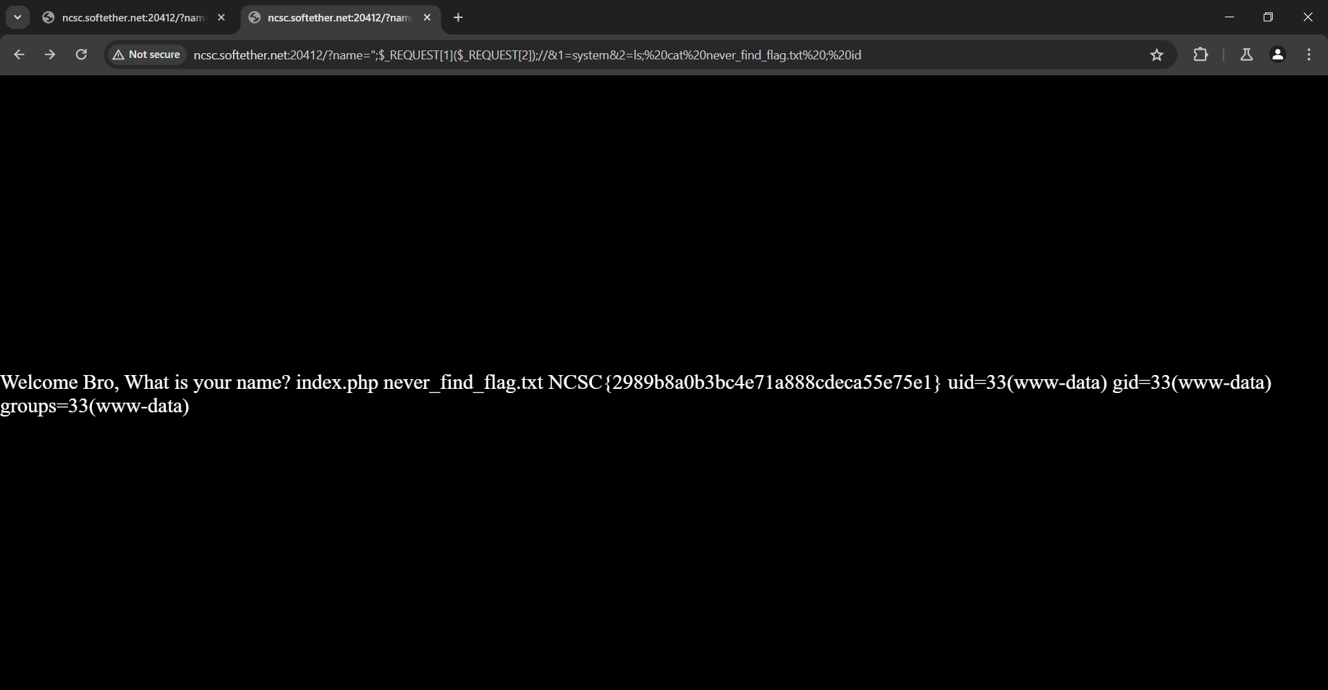 ncsc-training-backdoor-06