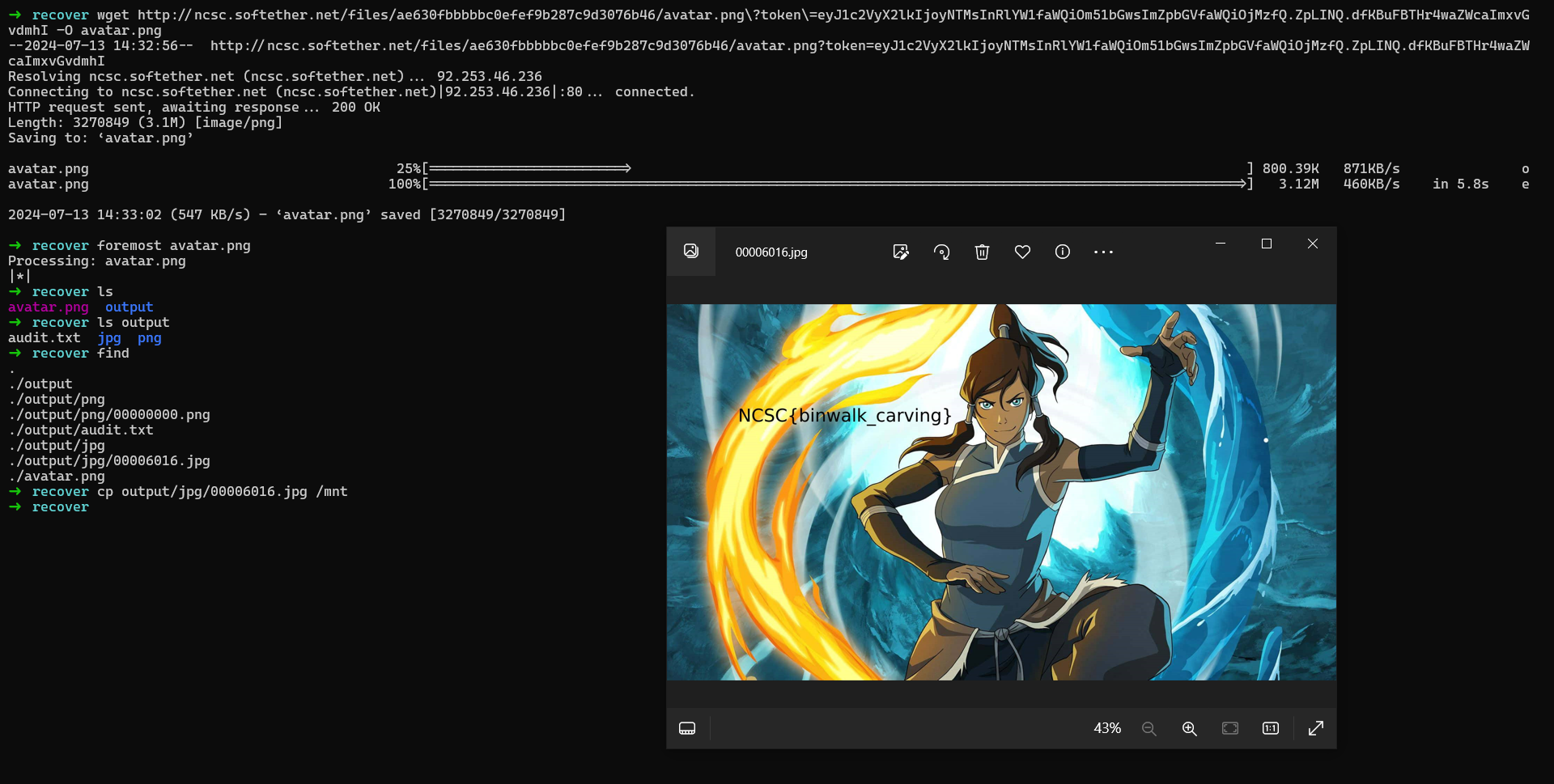 ncsc-training-recover